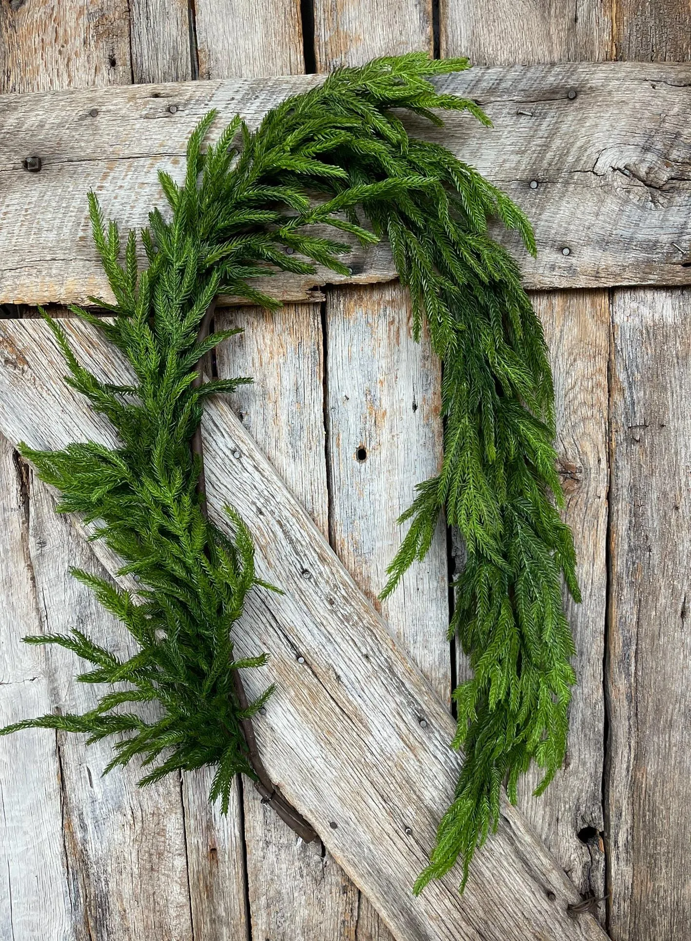 5' Norfolk Real Touch Garland, Pine Greenery