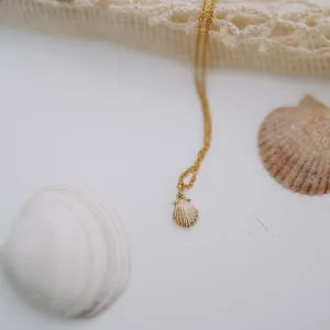 Sea Shell Necklace