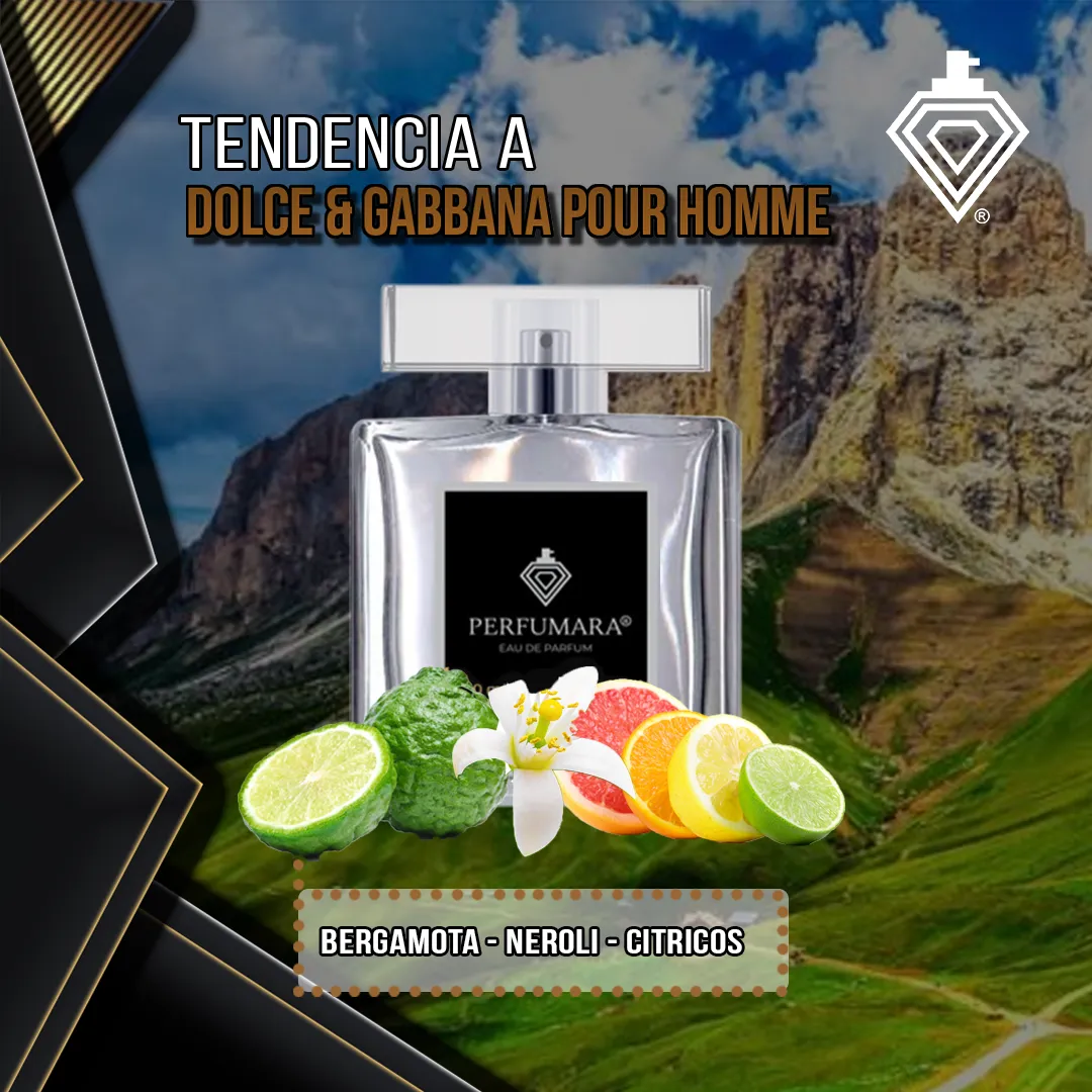 Tendencia a CDolce & Gabbana Pour Homme